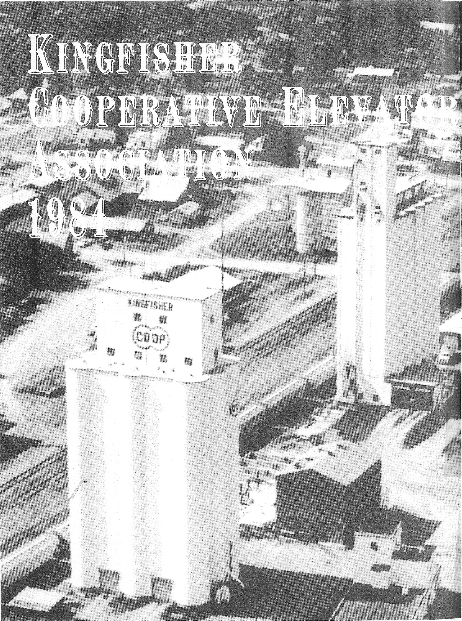 Kingfisher overview 01