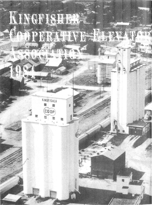 Kingfisher overview 01