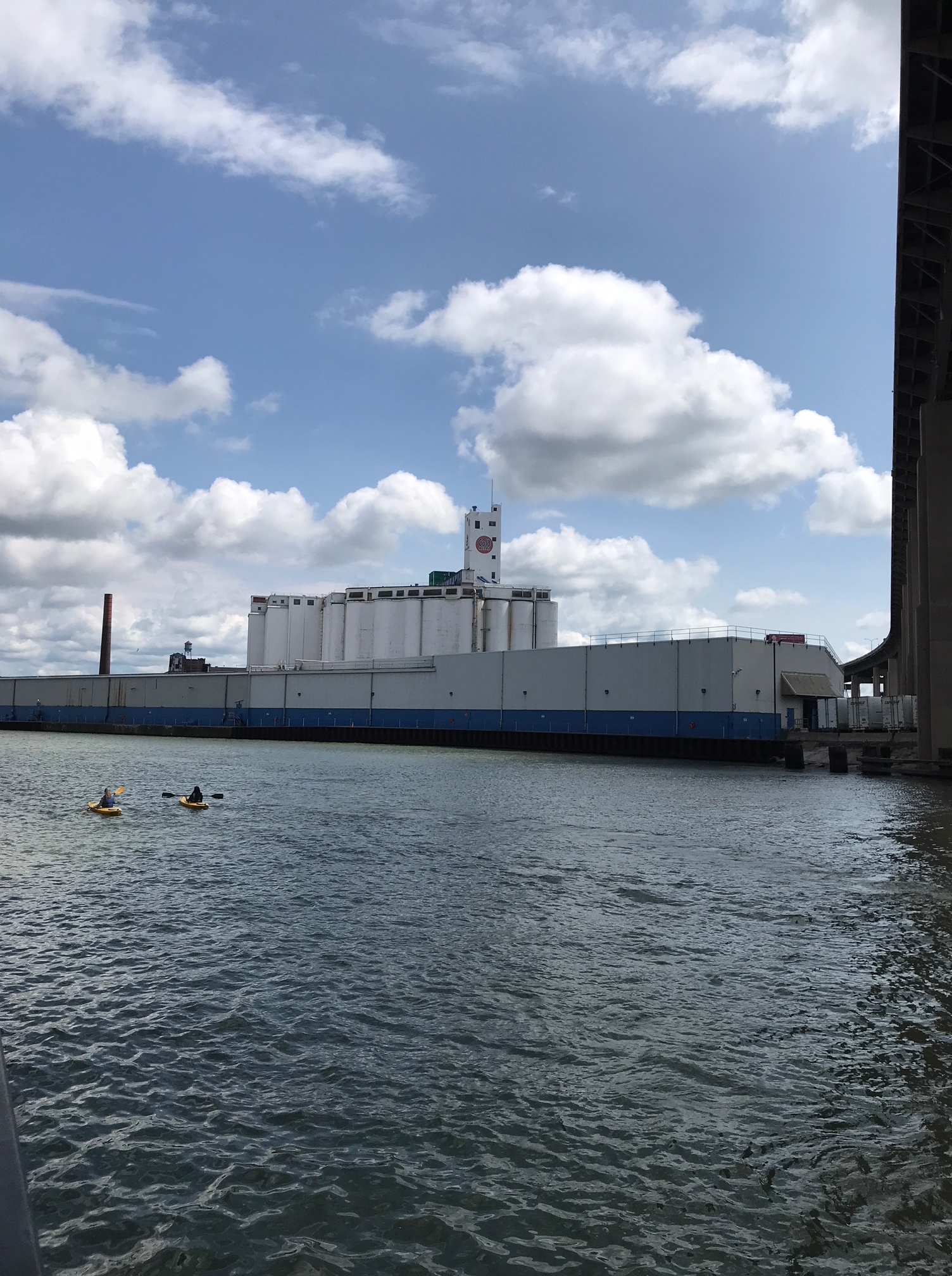 55449882966__9DAFF0D4-3DA9-40F5-BF49-9BB5C9F789F3